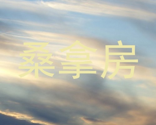 桑拿房