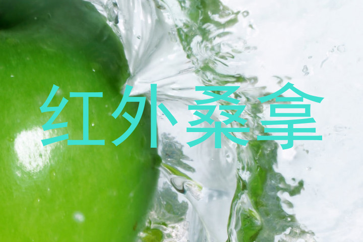 红外桑拿
