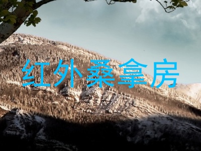 红外桑拿房