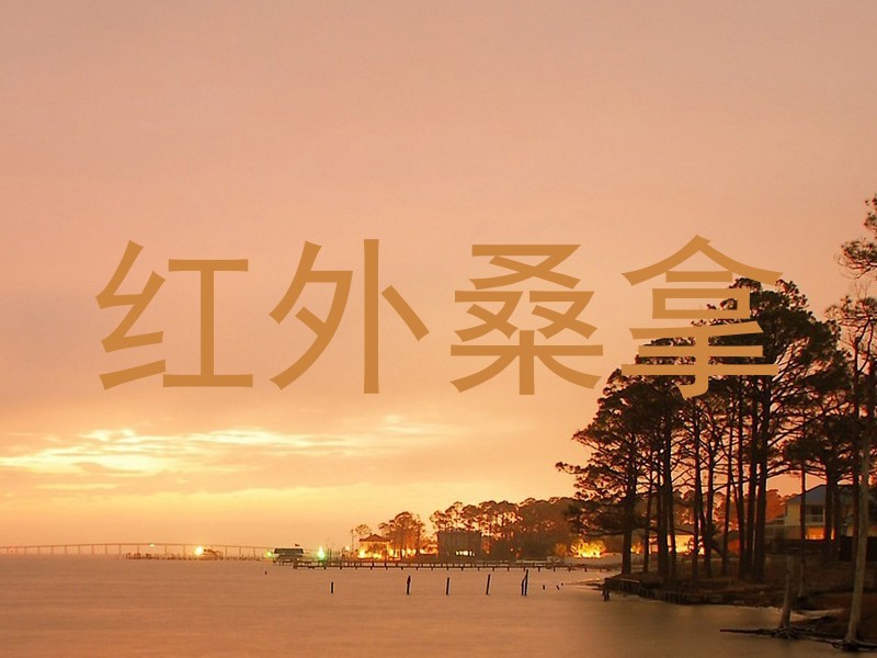 红外桑拿