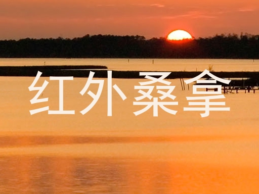 红外桑拿