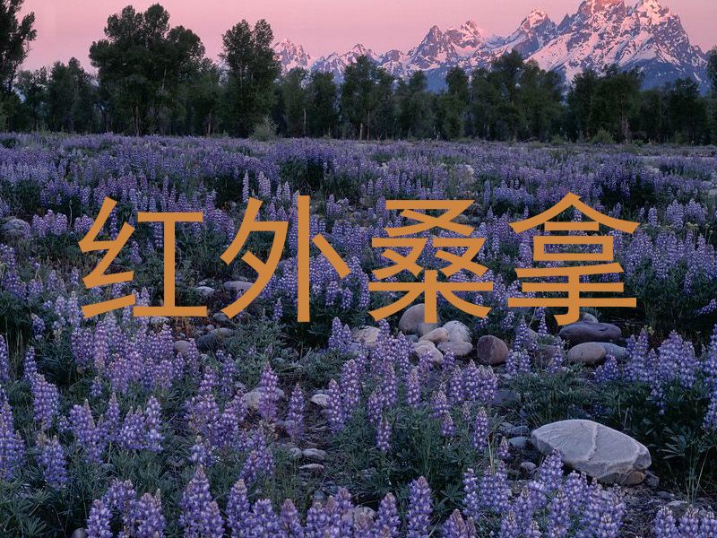 红外桑拿