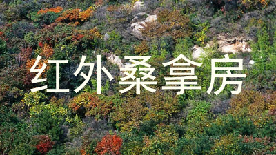 红外桑拿房