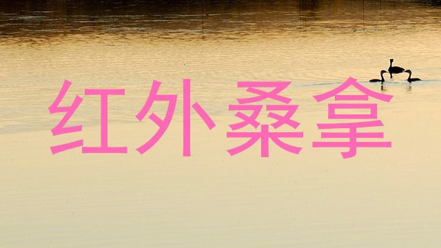 红外桑拿