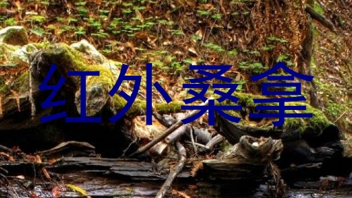 红外桑拿