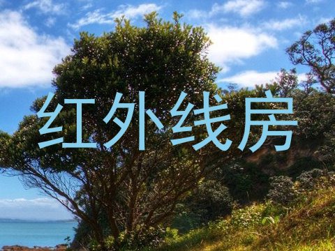 红外线房