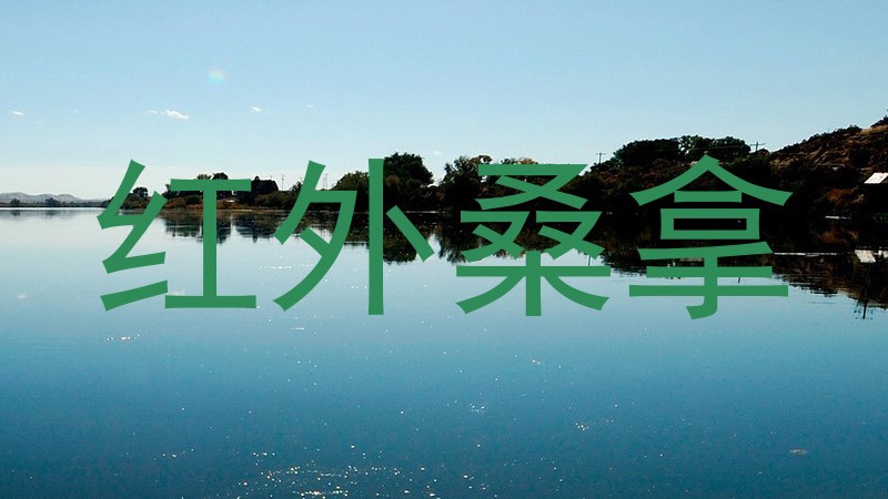 红外桑拿