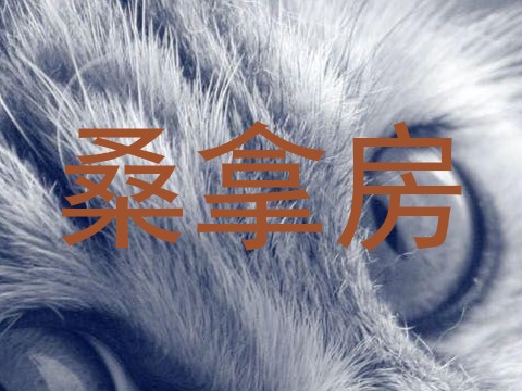 桑拿房