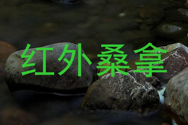 红外桑拿