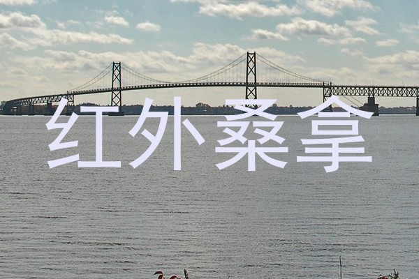 红外桑拿