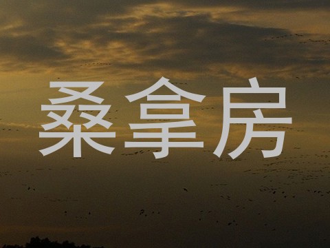 桑拿房