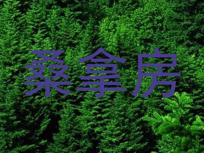 桑拿房
