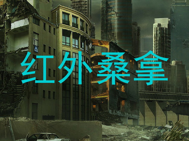 红外桑拿