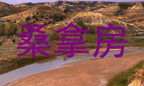 桑拿房