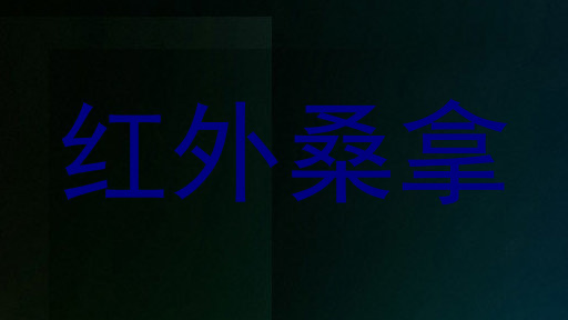 红外桑拿