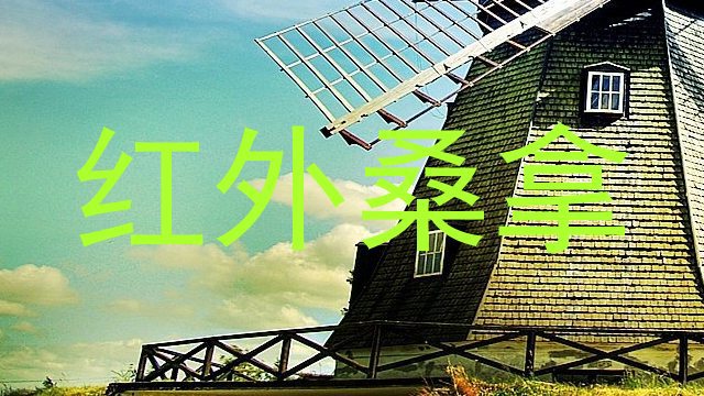 红外桑拿