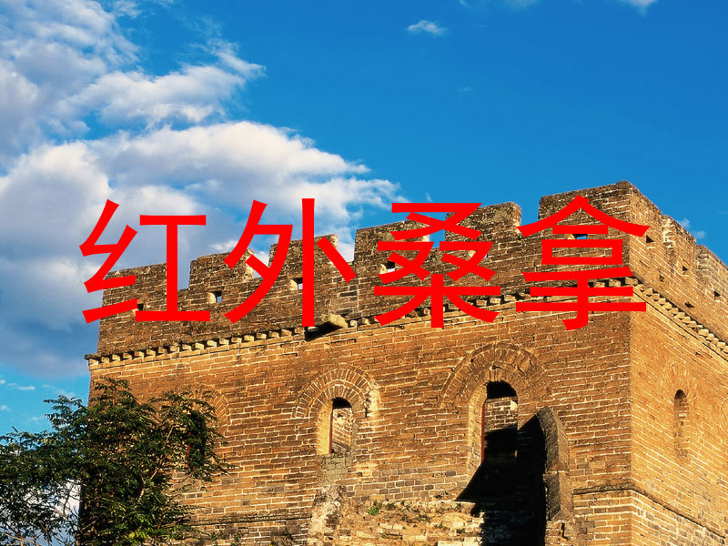 红外桑拿