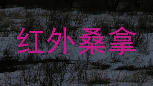 红外桑拿