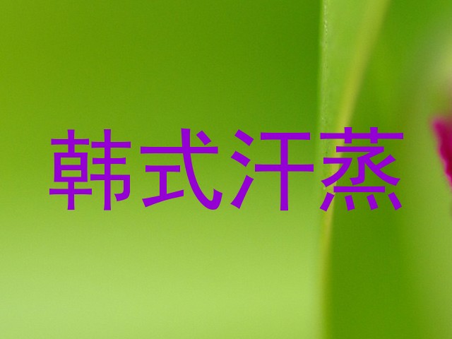 韩式汗蒸