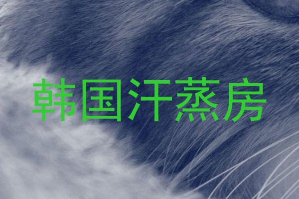 韩国汗蒸房