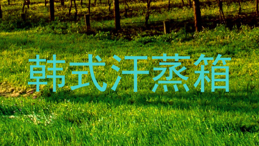 韩式汗蒸箱