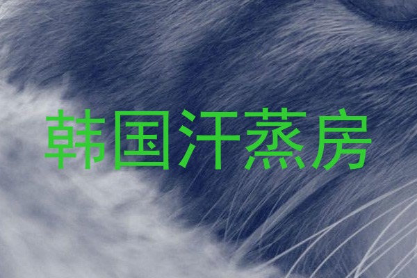 韩国汗蒸房