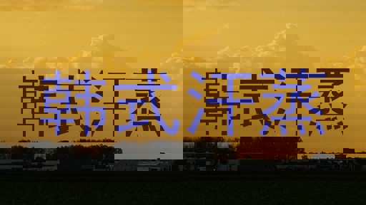 韩式汗蒸