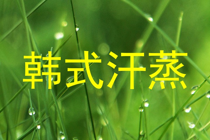 韩式汗蒸