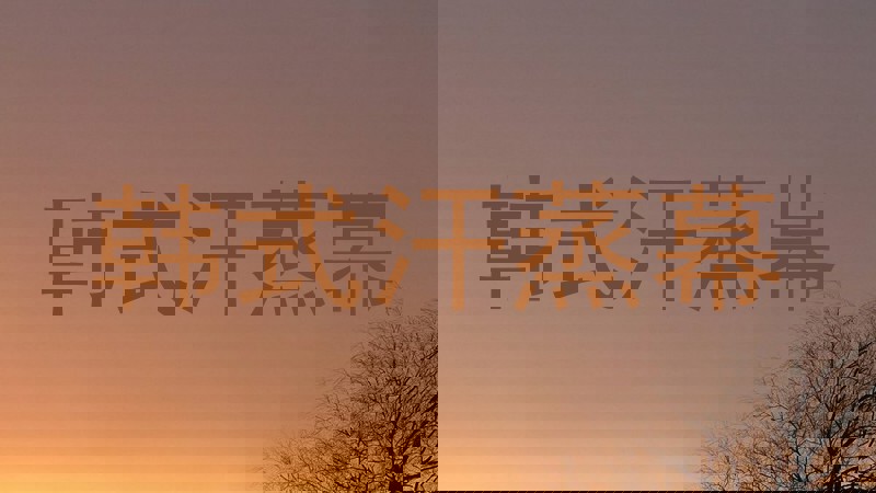 韩式汗蒸幕