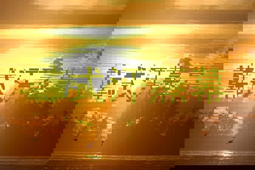 韩式汗蒸幕
