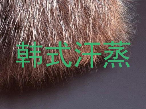 韩式汗蒸