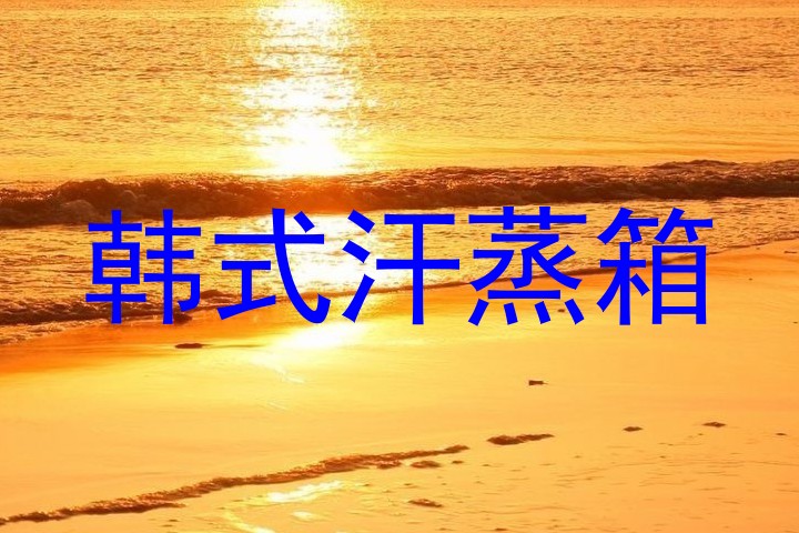 韩式汗蒸箱