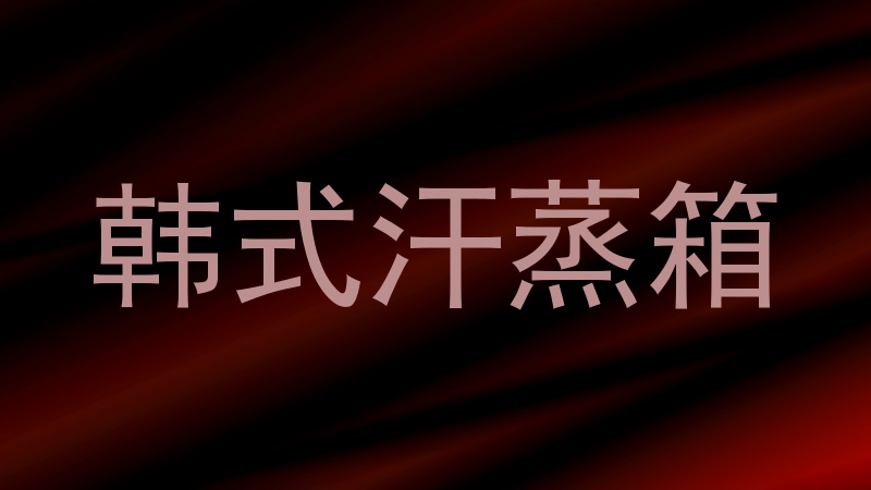 韩式汗蒸箱