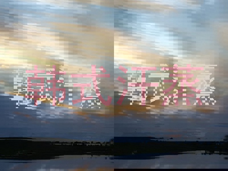 韩式汗蒸