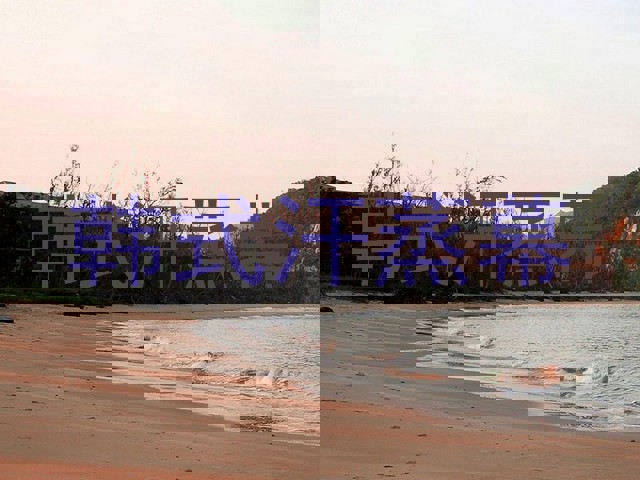 韩式汗蒸幕