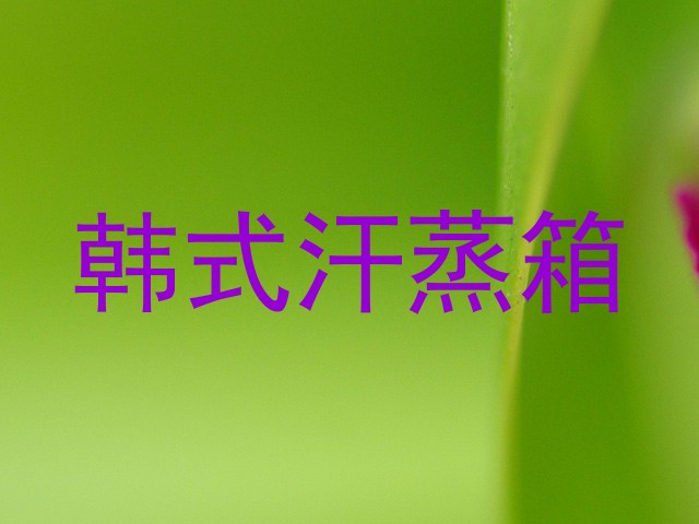 韩式汗蒸箱