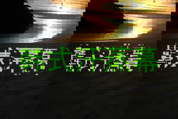 韩式汗蒸幕