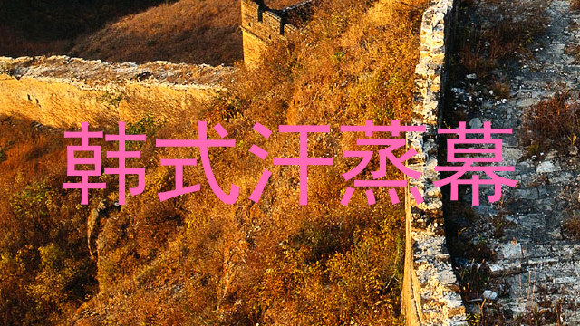韩式汗蒸幕