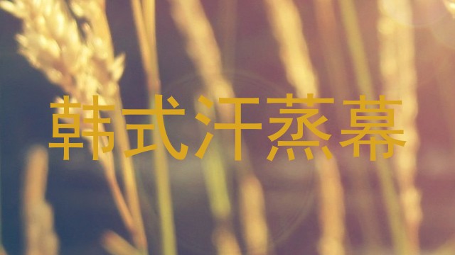 韩式汗蒸幕