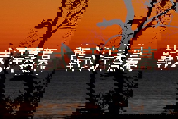 韩式汗蒸幕