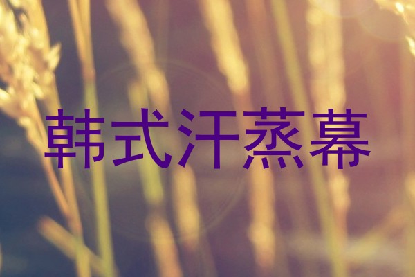 韩式汗蒸幕