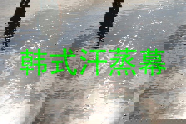 韩式汗蒸幕