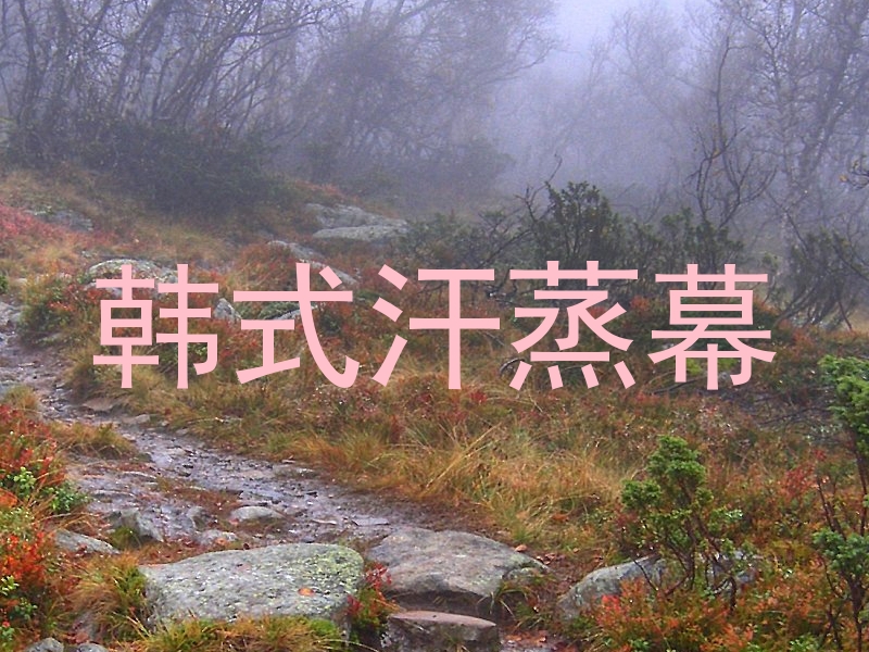 韩式汗蒸幕