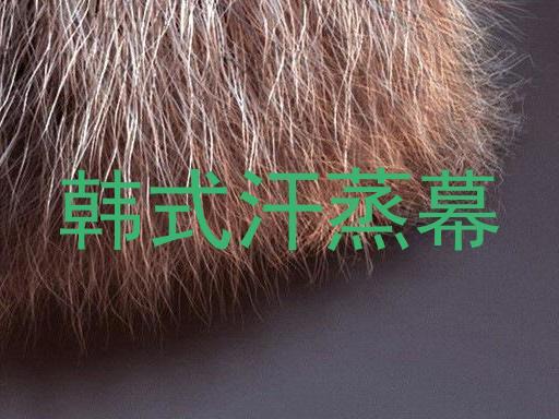 韩式汗蒸幕