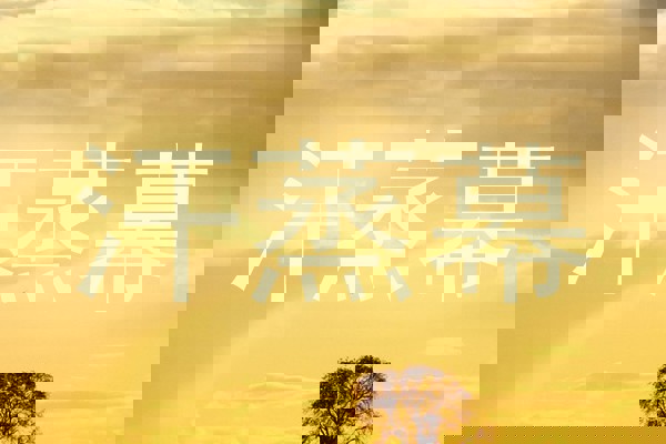 汗蒸幕