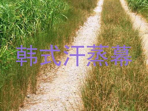 韩式汗蒸幕