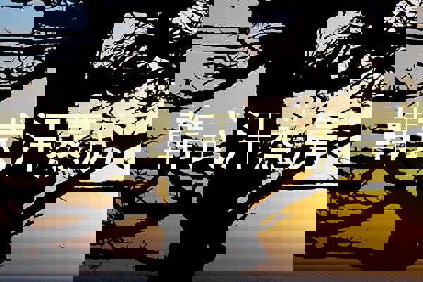 韩式汗蒸房