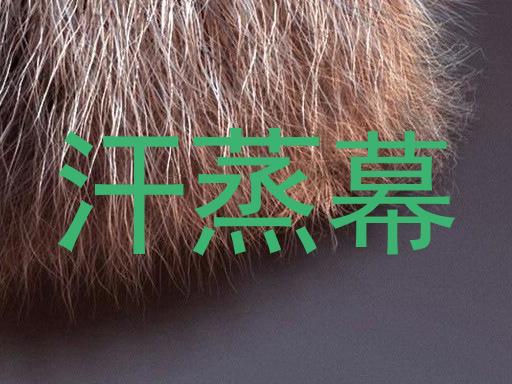 汗蒸幕