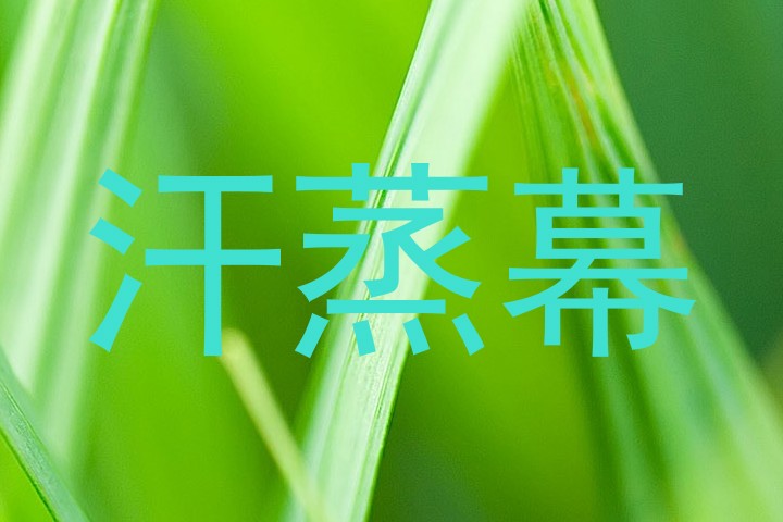 汗蒸幕