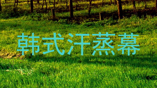 韩式汗蒸幕